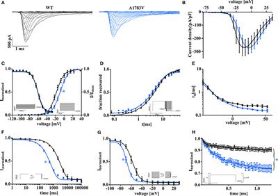 Dravet Variant SCN1AA1783V Impairs Interneuron Firing Predominantly by Altered Channel Activation